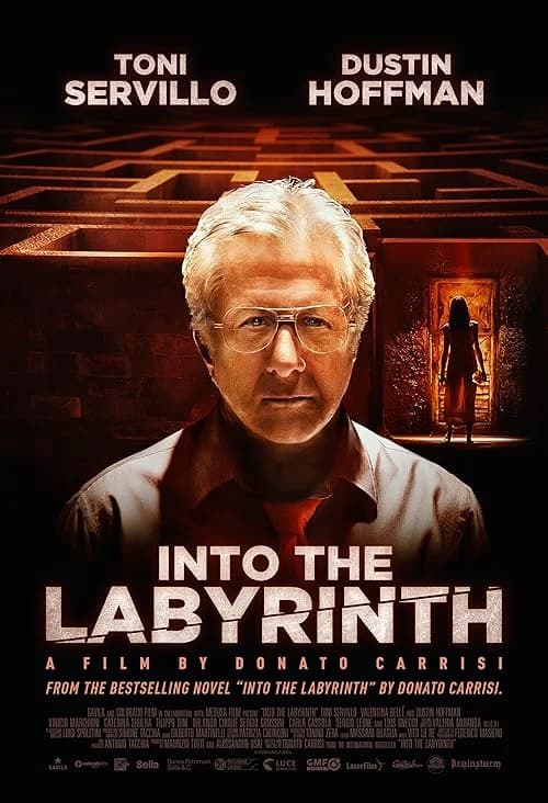 Into the Labyrinth film posteri